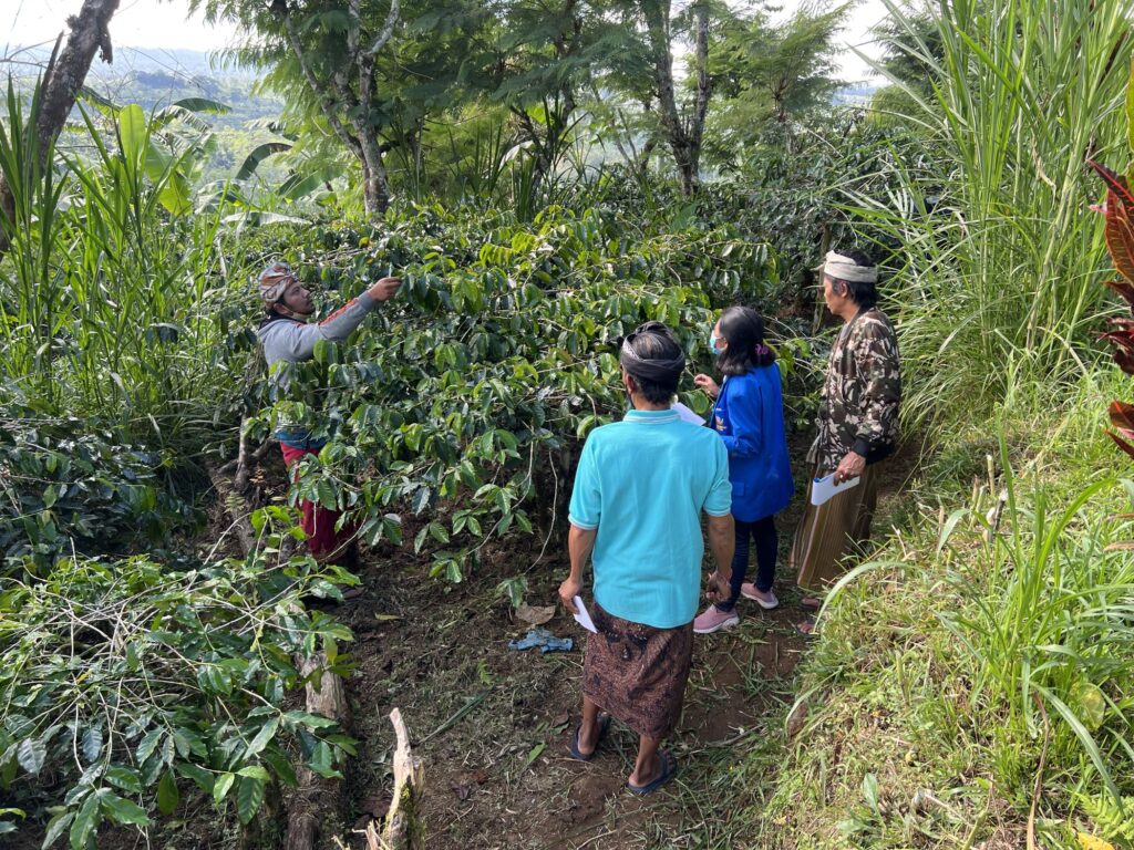 A previous climate field school in Kintamani, Bali. Photo: su-re.co