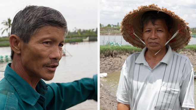 This year, Nguyen Van Khuyen (right), who owns 6 hectares of aquaculture ponds in Ca Mau Province in Vietnam, could not raise shrimp as usual due to a severe drought. Using a model shrimp farm, To Hoai Thuong (left), who has divided his farm in three ponds – one holding shrimp, another fish, the third freshwater - could harvest about 10 tons, in line with normal production. (Photo credit: Flore de Preneuf/World Bank)