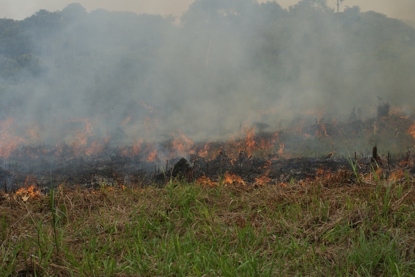 ​​Peatland fires and the resulting air pollution are a worry to local people and neighbouring states. The approaching dry season is usually the highest-risk time for wildfire spread. Photo by UNOPS / Tinus Obrein ​​​​