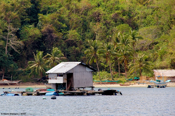 An offshore residence in Beton, Palawan. Mavic Matillano/WWF  