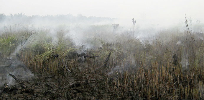 SMOKED: This 2013 photo of a peat fire near the Raja Musa Forest Reserve in Selangor, Malaysia is similar to what is happening in Indonesia right now. In such cases the fires are below the surface, where the peat is smoldering.