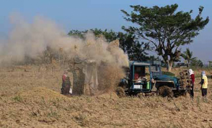 In Photo: Dust from the dried mud that stuck to the rice grain flies out of a thresher. Image Credits: Nonie Reyes