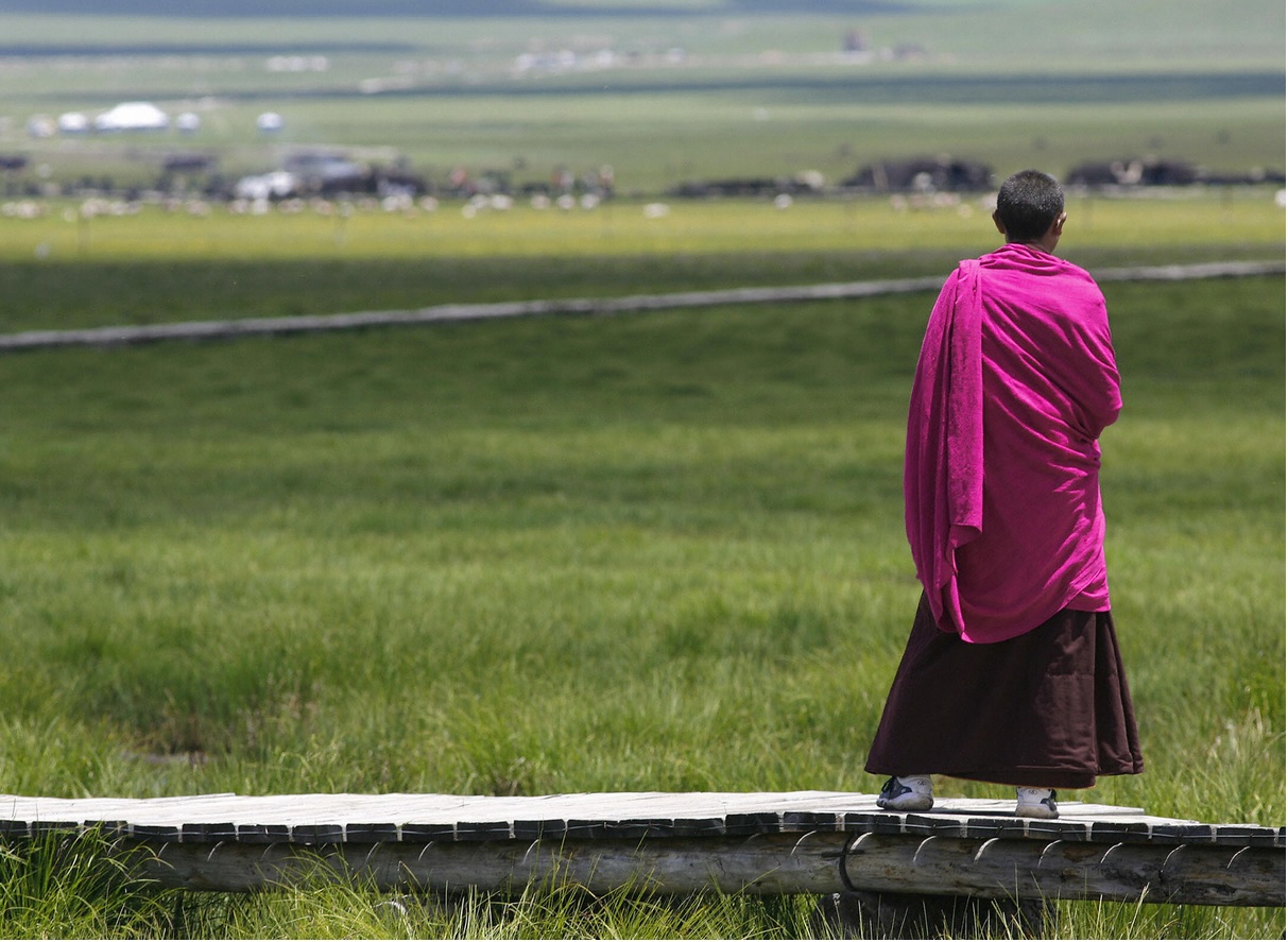 A Tibetan monk surveys the wet Re’er grassland at Meiduo Lake, China. Grassland such as this is helping to balance out the demise of rainforests. AFP/Getty 
