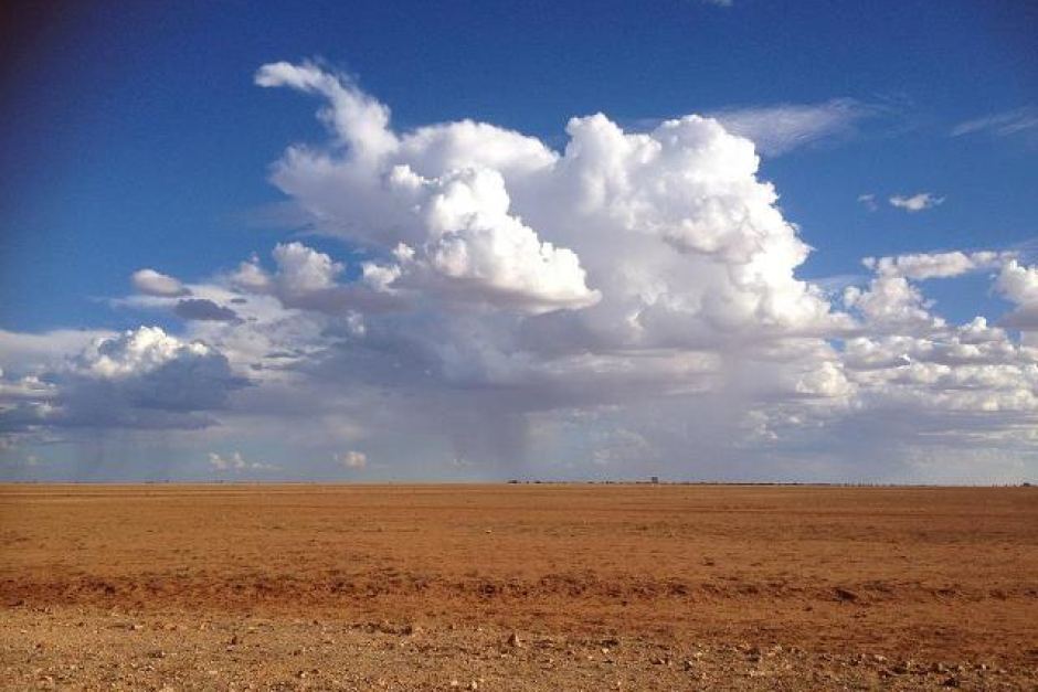 PHOTO: Promising clouds over a dry paddock. (Ann Britton)