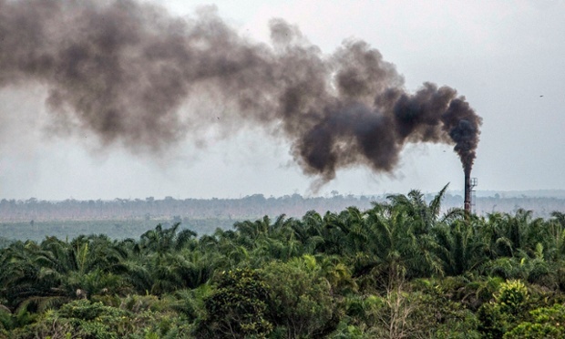  A palm oil plantation in Sumatra, Indonesia. Deforestation and land use change drives about 80% percent of Indonesia’s greenhouse gas emissions. Photograph: Ulet Ifansasti/Getty Images