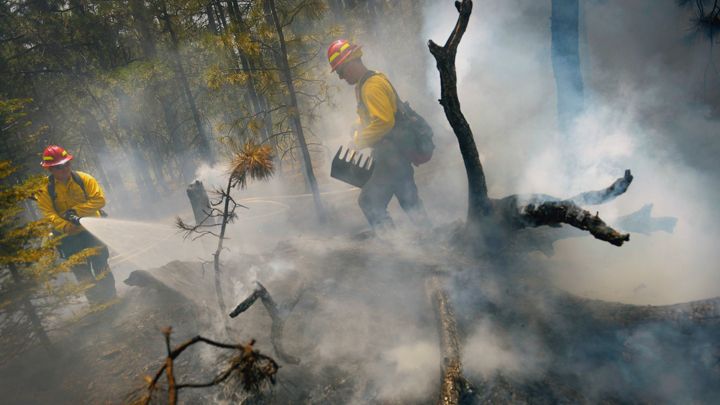 Scientists warn that, due to climate change, "far greater chronic forest stress and mortality risk" – including from fire – "should be expected in coming decades." Helen H. Richardson/The Denver Post