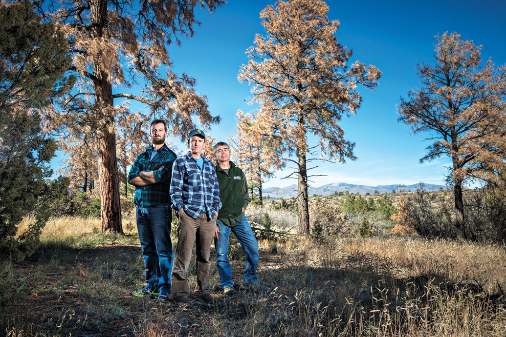 Scientists Williams, McDowell and Allen (from left) think the Southwest's recent drought is a grim preview of the future. Michael Clark