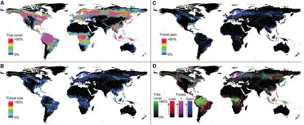 Maps showing a) tree cover, b) forest loss, and c) forest gain between 2000 and 2012. Map d) shows a composite of tree cover in green, forest loss in red, forest gain in blue, and areas of forest loss and gain in magenta. Source: Hansen et al. (2015)