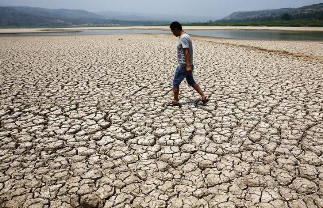 A man walks through the dried-up bed of a reservoir in Sanyuan county, Shaanxi province July 30, 2014. REUTERS/STRINGER