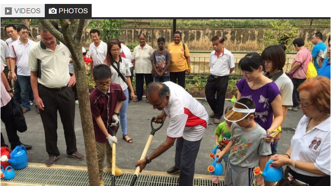 Law and Home Affairs Minister K Shanmugam at a tree-planting even in Nee Soon. (Photo: Kenneth Lim)