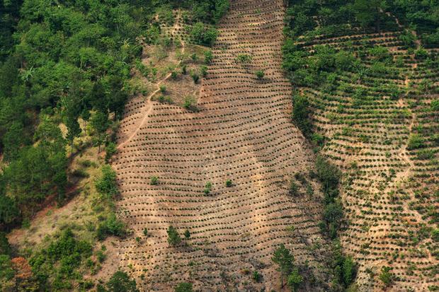 A view of a hillside in the La Ceiba Talquezal village in eastern Guatemala on May 5, 2017. The village faces malnutrition due to severe drought, part of the impact of climate change in Central America's so-called dry corridor. MARVIN RECINOS / AFP/GETTY IMAGES