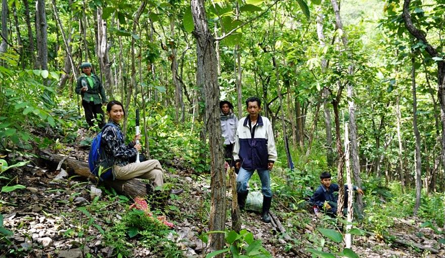 Ms. Siriluck Thammanu taking lead in the forest field survey.