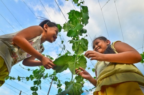Greening education boosts fight for environment, climate: CCC