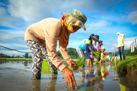 Enhancing the resilience of the Philippine agriculture against climate change
