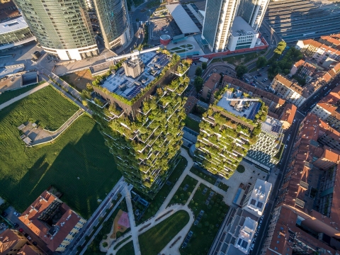 Radical architects are obsessed with turning cities into forests to combat climate change. These unreal photos show that the extraordinary idea actually works.