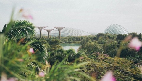 Building a greener Singapore, one byte at a time
