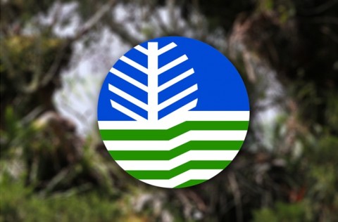 DENR agency signs tree conservation agreement