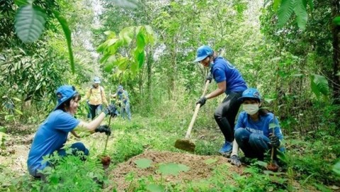 New resources for forest protection