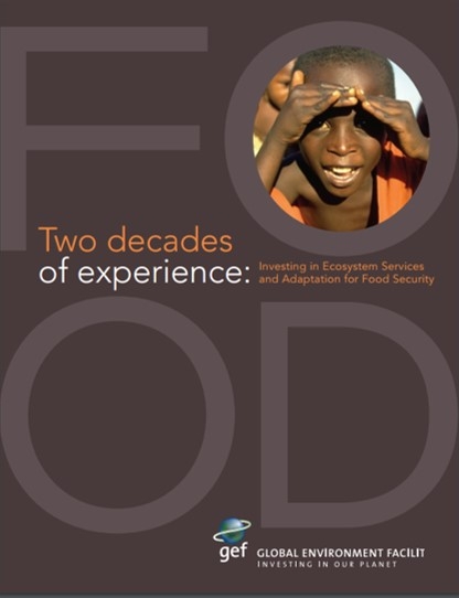 Two Decades of Experience: Investing in Ecosystem Services and Adaptation for Food Security