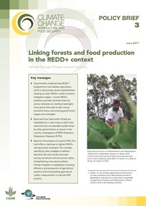 Linking Forests and Food Production in the REDD+ Context
