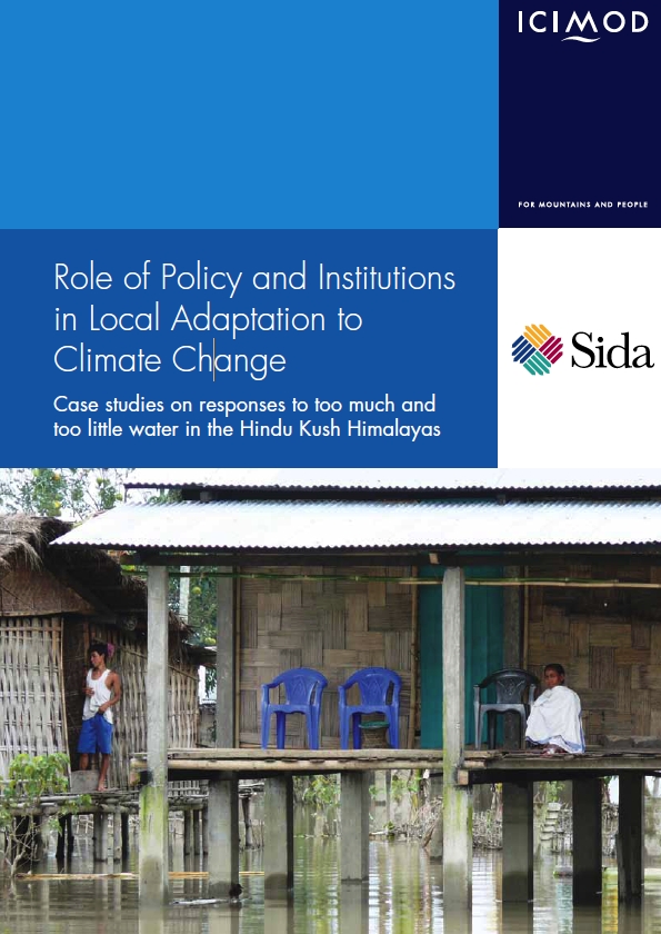 Role of Policy and Institutions in Local Adaptation to Climate Change