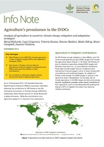 Agriculture&#039;s prominence in the INDCs