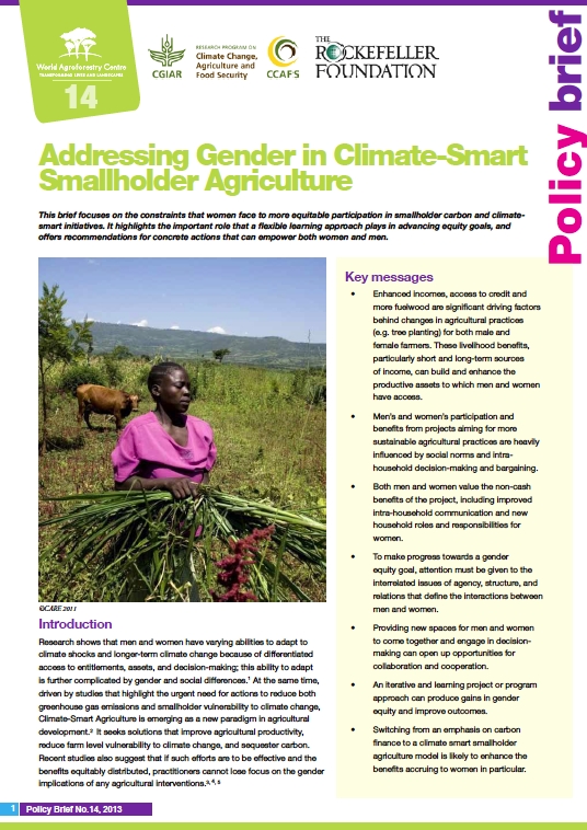 Addressing Gender in Climate-Smart Smallholder Agriculture