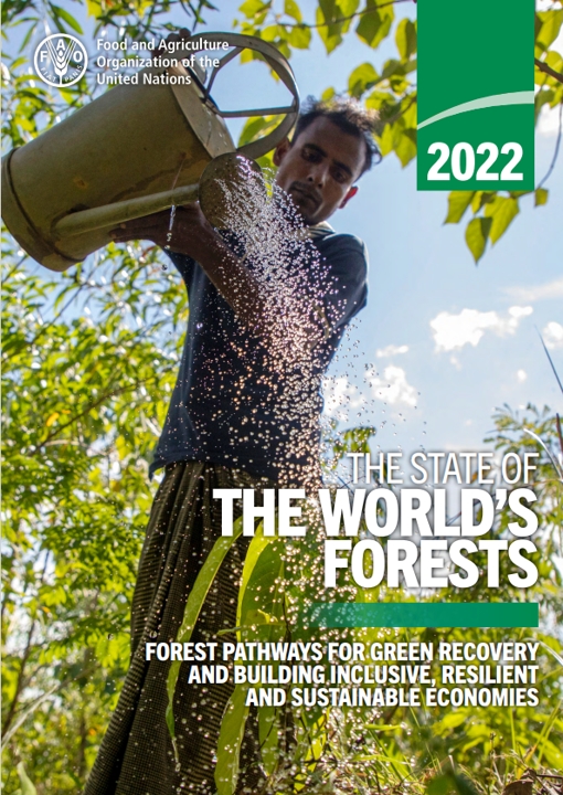 The State of the World&#039;s Forests (SOFO) 2022
